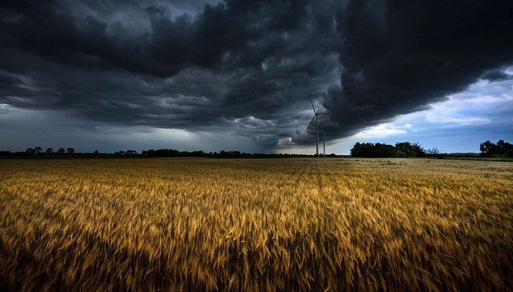 El Ni&ntilde;o: el Gobierno lanz&oacute; una nueva plataforma para seguirlo d&iacute;a a d&iacute;a y con recomendaciones productivas