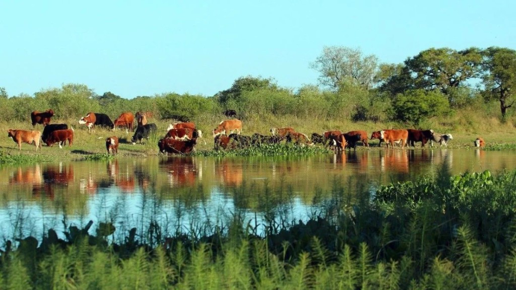 Crecida del r&iacute;o Paran&aacute;: la salida de hacienda es ordenada y la evacuaci&oacute;n contin&uacute;a en las islas de San Javier