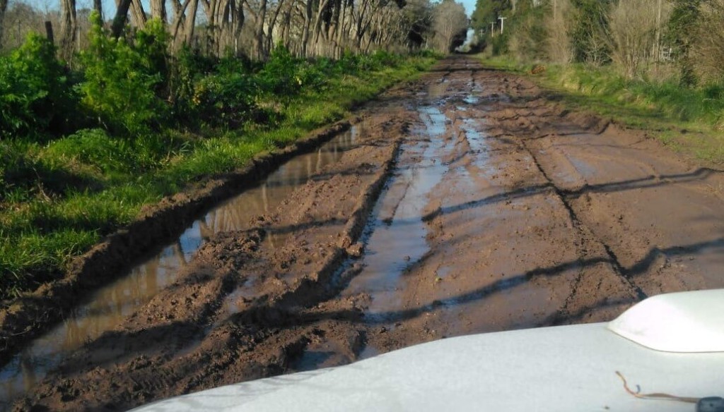 En Buenos Aires, municipios podr&aacute;n usar fondos para caminos rurales en obras h&iacute;dricas: rechazo del agro