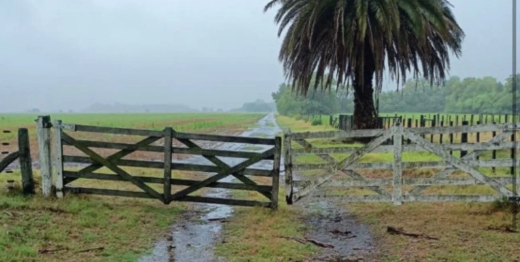 Lluvias irregulares y cambios de temperatura marcar&aacute;n el escenario clim&aacute;tico para el agro santafesino
