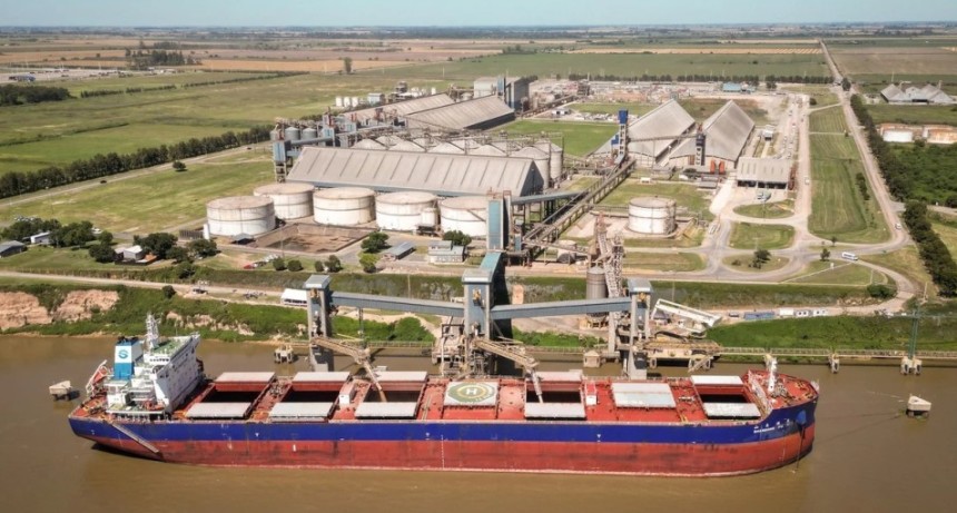 Argentina alcanza un r&eacute;cord de exportaciones de aceites y encuentra en India un mercado clave