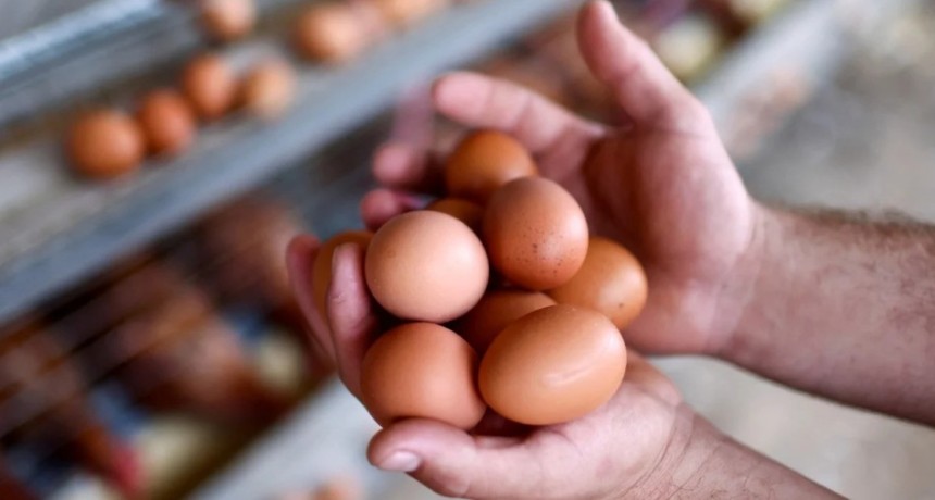 Casi 400 huevos por persona al a&ntilde;o: por qu&eacute; Argentina es el mayor consumidor del mundo