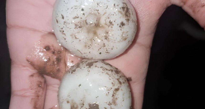 Cay&oacute; granizo en distintos sectores de C&oacute;rdoba en una jornada de tormentas e inestabilidad