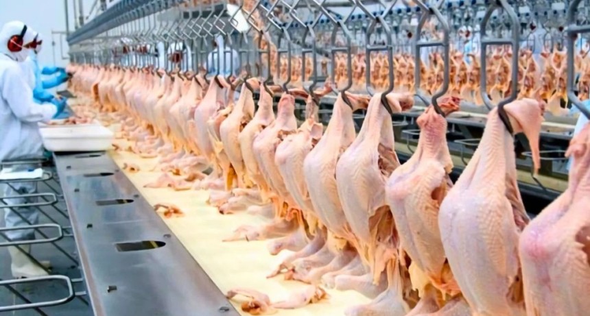 Carne de pollo: &iquest;el consumo r&eacute;cord se traduce en un mejor negocio para los productores?