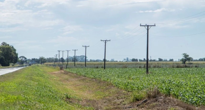Invertir&aacute;n m&aacute;s de $1.035 millones para mejorar la infraestructura el&eacute;ctrica rural de San Justo