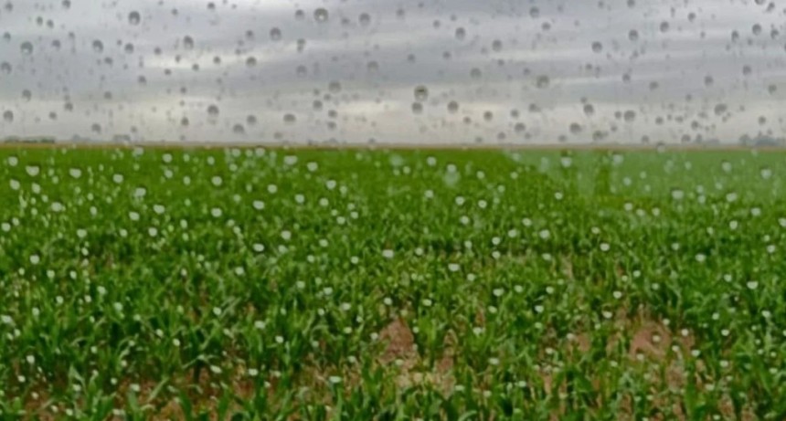 Al fin lleg&oacute; El Ni&ntilde;o a la regi&oacute;n n&uacute;cleo y cambian las proyecciones sobre su intensidad