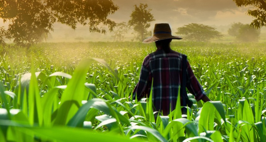 En EEUU y Brasil, productores est&aacute;n en jaque por el alto endeudamiento: &iquest;ventaja para el campo argentino?