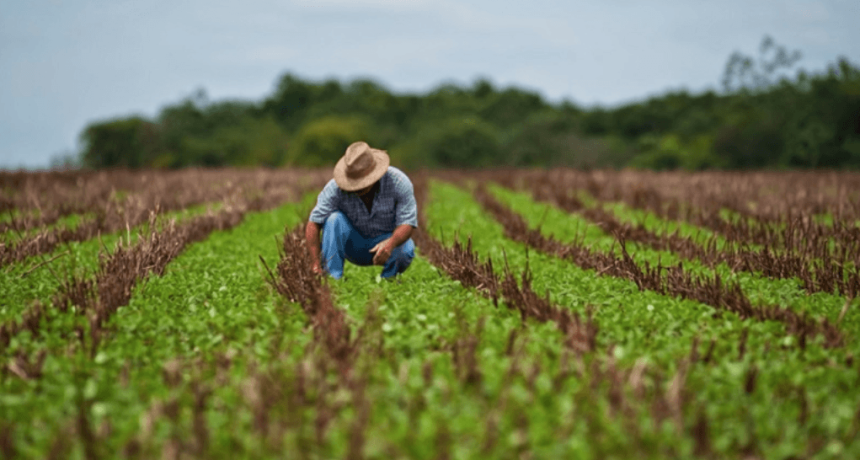 Estiman que, sin retenciones, el agro podr&iacute;a generar 850.000 puestos y reducir el desempleo a la mitad