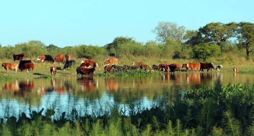 Crecida del r&iacute;o Paran&aacute;: la salida de hacienda es ordenada y la evacuaci&oacute;n contin&uacute;a en las islas de San Javier