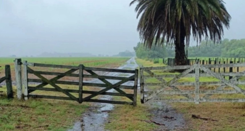 Lluvias irregulares y cambios de temperatura marcar&aacute;n el escenario clim&aacute;tico para el agro santafesino