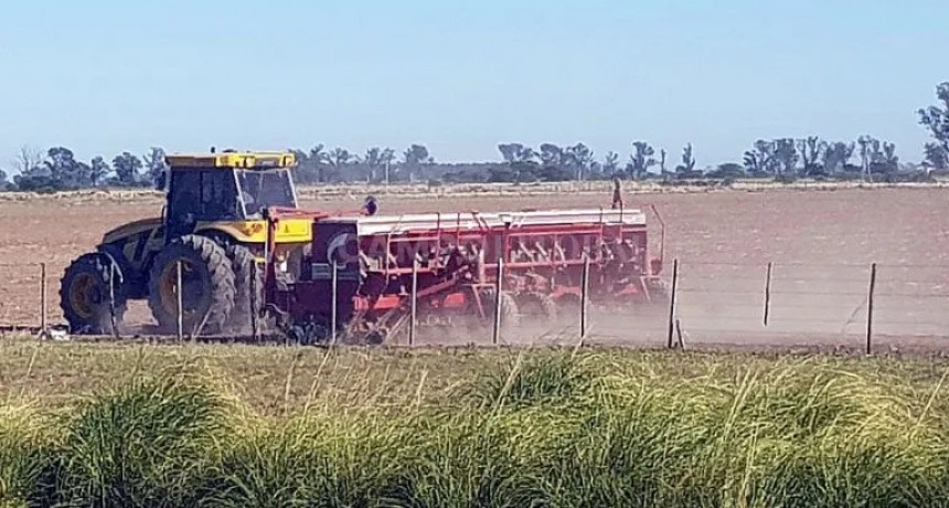 Tibio inicio de la campa&ntilde;a de soja