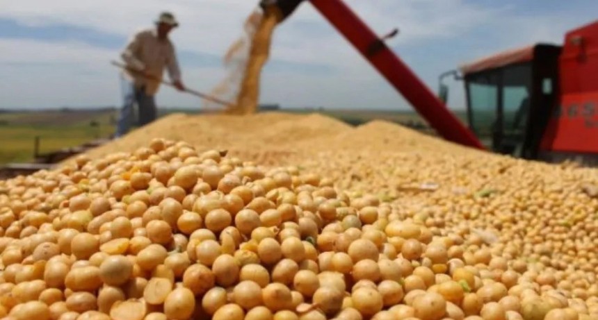 Desde provincia indican que el retraso de la siembra de soja es del 30% con respecto a 2021