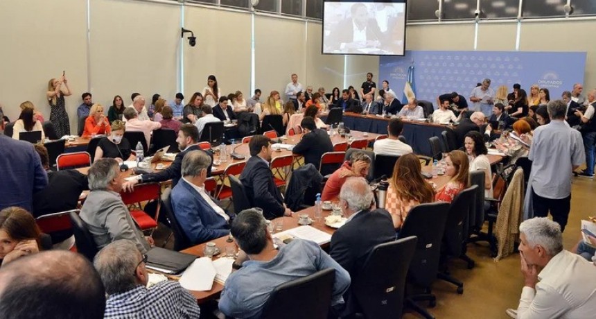 Ley de Humedales: el FdT vot&oacute; dividido por presi&oacute;n de los gobernadores y JxC se qued&oacute; con el dictamen de mayor&iacute;a