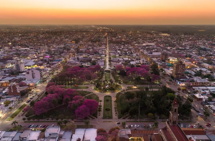Media sanción para plantar un millón de árboles en la provincia de Santa Fe