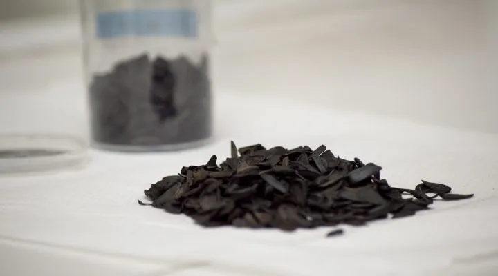 Investigadores del CONICET desarrollan un método para eliminar arsénico y nitratos del agua con carbón vegetal