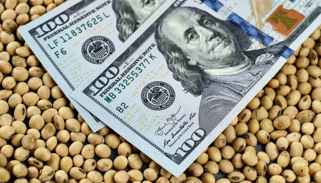 La soja, en el tire y afloje entre Chicago y Rosario: ¿hasta cuándo dura el efecto retenciones cero?