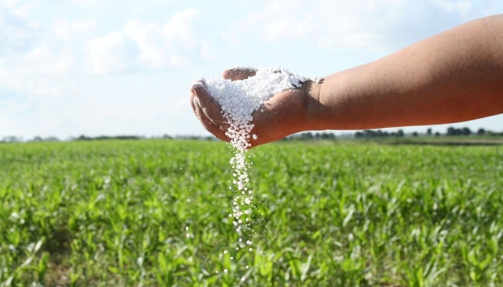 Deterioro: los fertilizantes están en fase alcista y ponen en jaque la rentabilidad de los cereales
