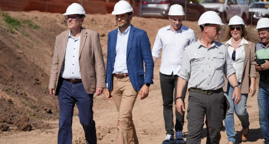 SENASA oficializó el nuevo Sistema de Identificación Electrónica para ganado: fechas clave y requisitos