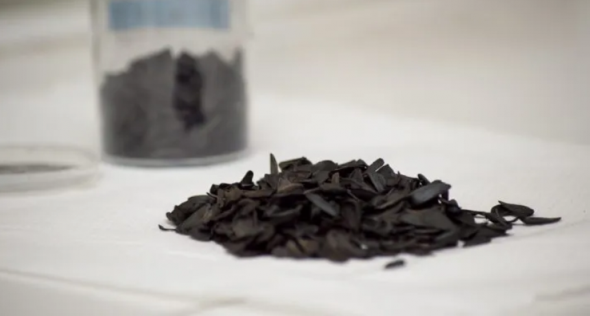 Investigadores del CONICET desarrollan un método para eliminar arsénico y nitratos del agua con carbón vegetal