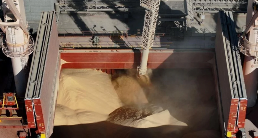 La harina de soja: el producto que más exporta Argentina y cómo cambiaron sus mercados