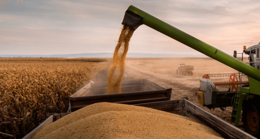 Se lanzó un Índice de Actividad de la Cadena Agropecuaria, que confirma la fortaleza actual del sector