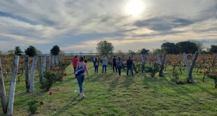 La tradici&oacute;n vitivin&iacute;cola renace en Entre R&iacute;os