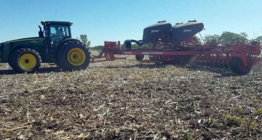 Larg&oacute; la siembra de soja tard&iacute;a y crecer&iacute;a el &aacute;rea en el centro norte de la provincia de Santa Fe