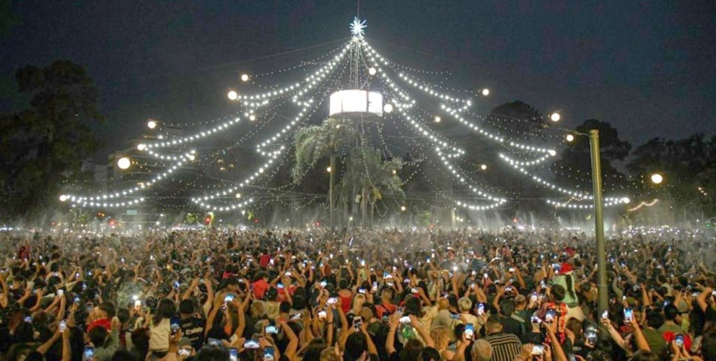 Las ciudades de Santa Fe encendieron sus arbolitos de Navidad: un viaje imaginario por los más llamativos