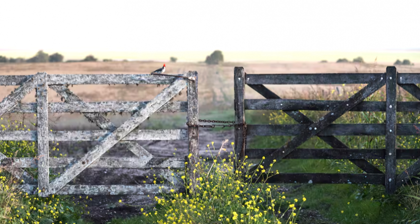 &ldquo;Concreta, firme y bastante alta&rdquo;: cierra un muy buen a&ntilde;o, con valores r&eacute;cord, la compraventa de campos agr&iacute;colas