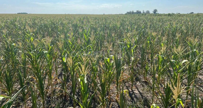 2023, "un a&ntilde;o perdido para el campo"  