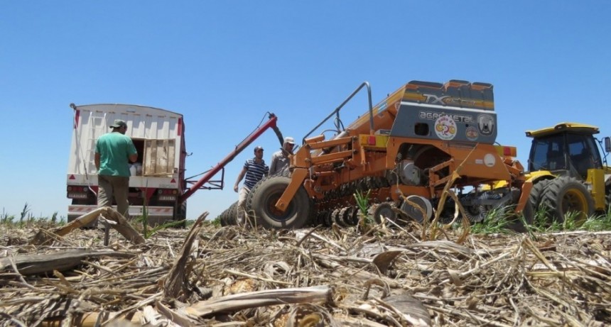 D&oacute;lares, celulares, PC y repuestos que no llueven