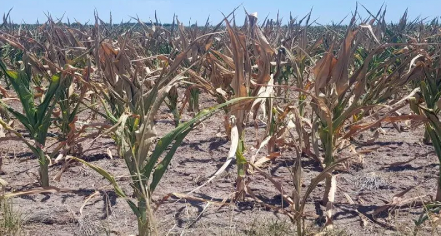Sequ&iacute;a: el tiempo se ocupa en decidir si se siembra o no