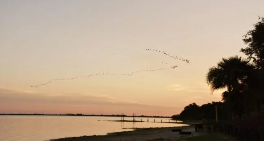 Las consecuencias de la sequ&iacute;a en Santa Fe: "Quedan muy pocas lagunas con agua"