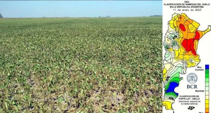 Sequ&iacute;a extrema: en Santa Fe no se sembraron 360.000 hect&aacute;reas de soja y es la provincia m&aacute;s afectada del pa&iacute;s
