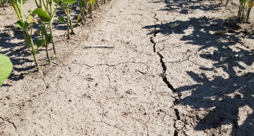 Costamagna: "Seguiremos cerca de los productores, tal como lo estamos haciendo desde el inicio de nuestra gesti&oacute;n"