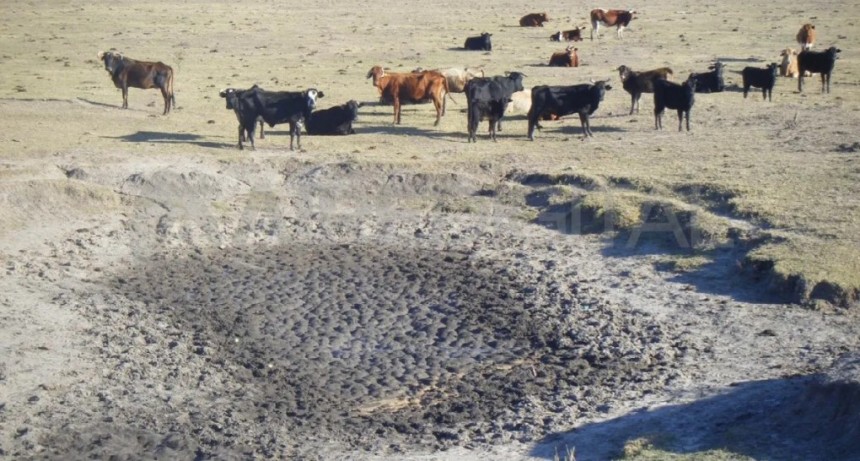Sequ&iacute;a extrema: liberan agua del Salado desde Tostado hacia el sur para abastecer a los animales