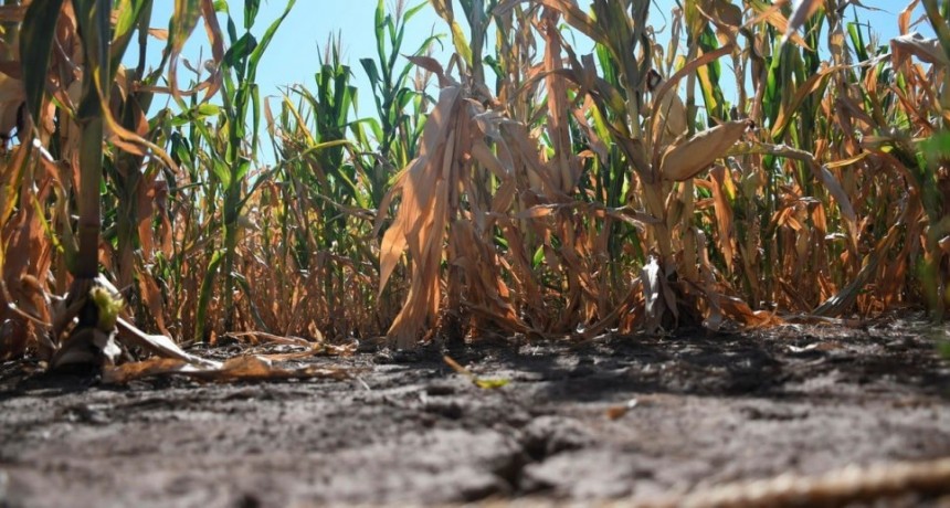 Bahillo acompa&ntilde;ar&aacute; a Costamagna para completar ayudas ante la sequ&iacute;a