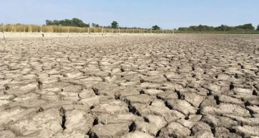 Sequ&iacute;a en el norte: el secretario de Agricultura llega a Santa Fe y entregar&aacute; fondos por $1.300 millones