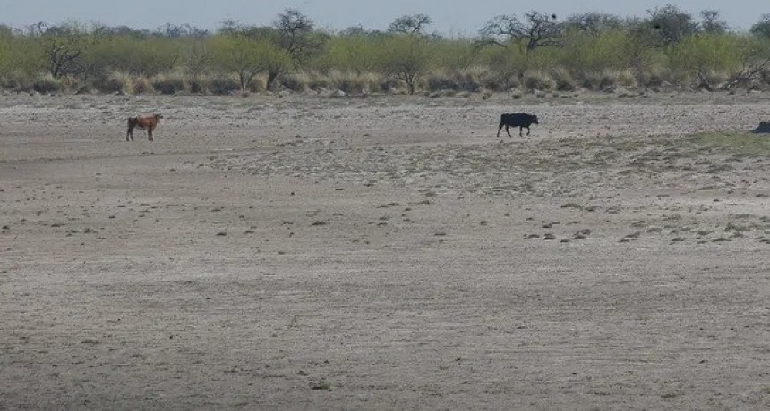 Tras la reuni&oacute;n con Bahillo, productores del norte afirmaron que la asistencia para afrontar la sequ&iacute;a "no alcanza"