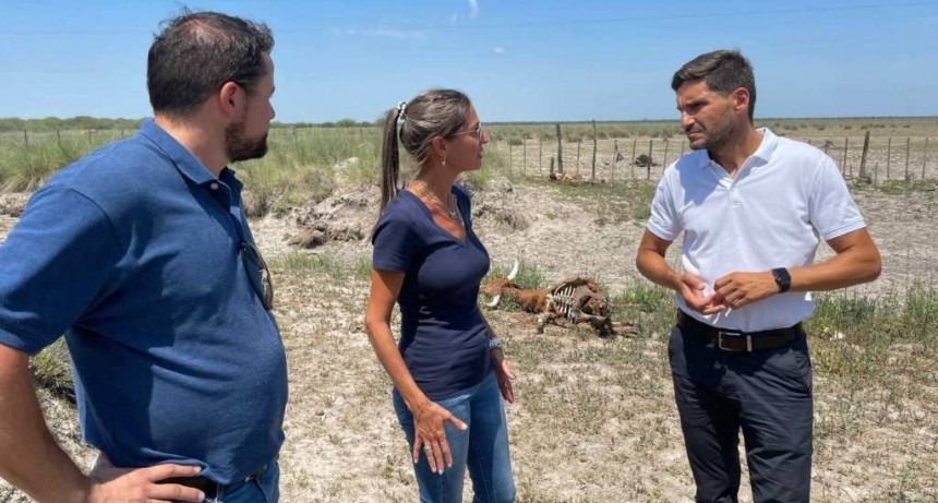 Pullaro: "Pedimos presencia del Ej&eacute;rcito para asistir zonas afectadas"