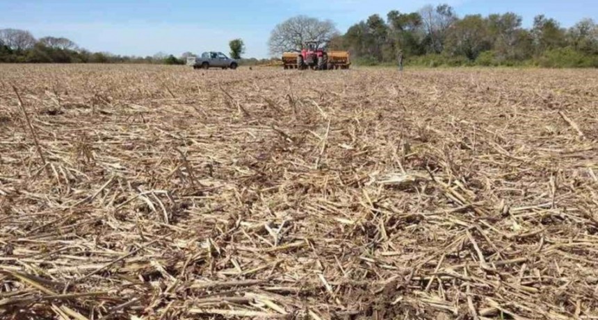 La Mesa de Enlace reclama "medidas urgentes" para enfrentar la sequ&iacute;a
