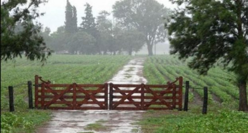 Las lluvias aliviaron al campo e impulsar&aacute;n la finalizaci&oacute;n de la siembra de soja y ma&iacute;z