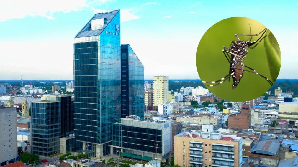 Dengue en Santiago del Estero: todo lo que necesitas saber sobre la vacuna y la prevención