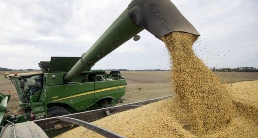 Retenciones: para productor agropecuario, cultivar soja 