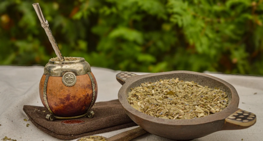 Descifraron el ADN de la yerba: podría 