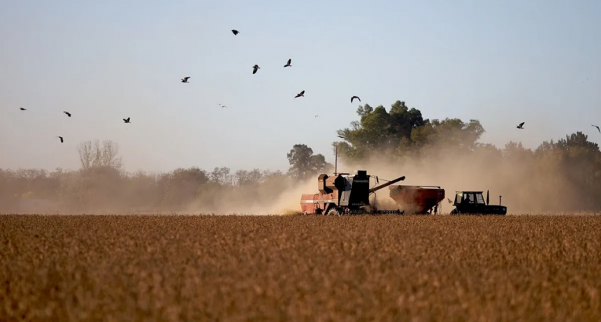 La Federación Agraria Argentina le pedirá al ministro Luis Caputo una segmentación de las retenciones