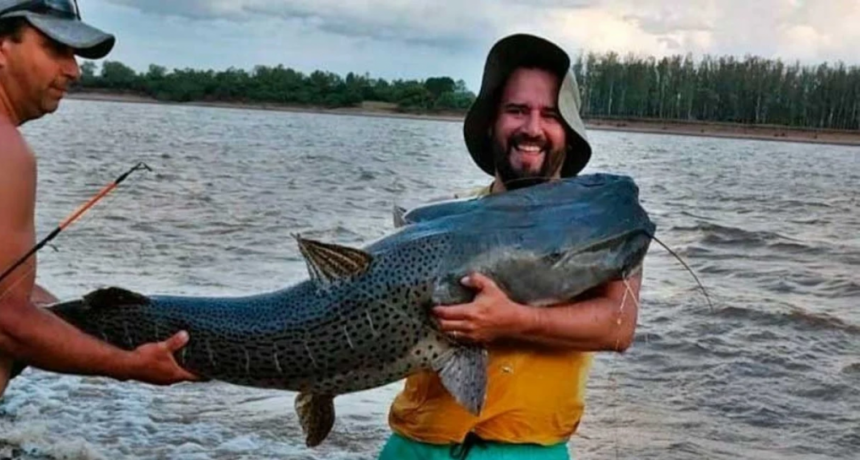 Video: pescó un surubí gigante de 40 kilos desde la costa en el río Uruguay