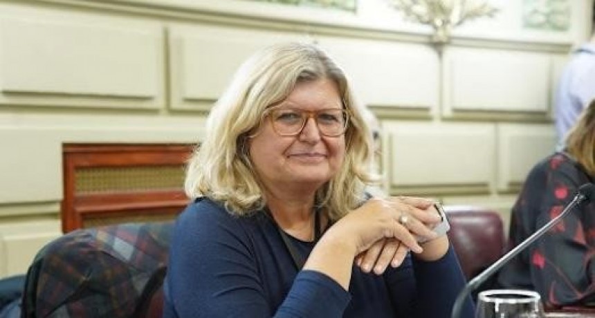 “La reelección del gobernador no es el tema más importante de la Reforma Constitucional”