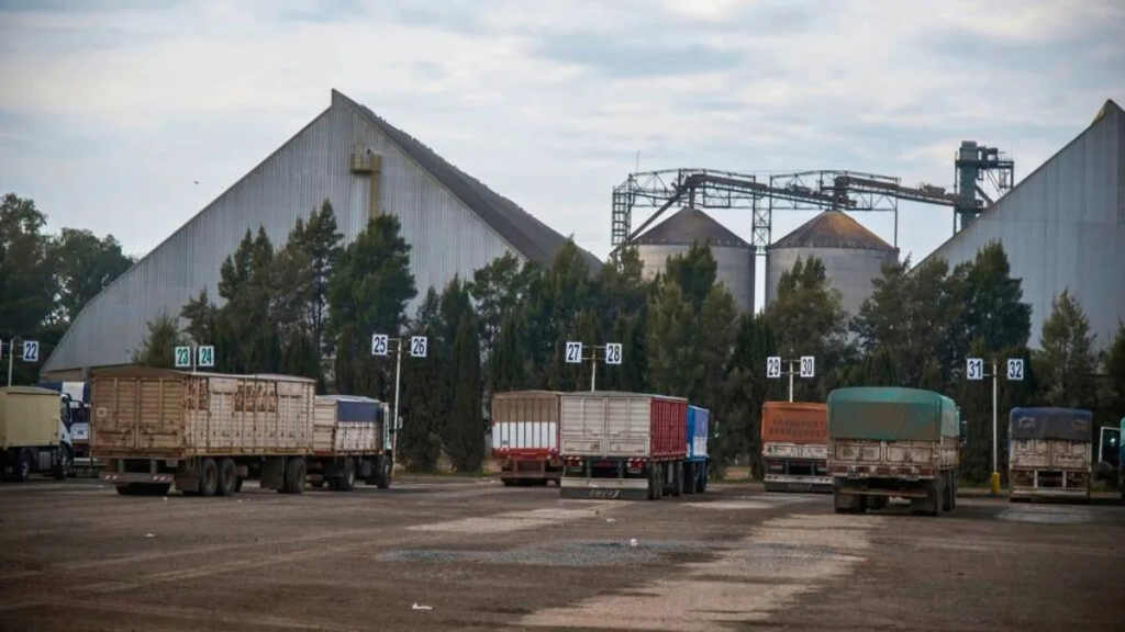 Camiones a puerto: 2025 tuvo el mayor ingreso de los últimos tres años