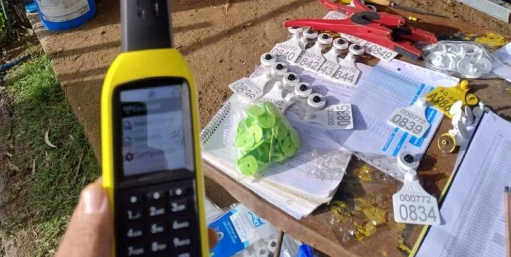 La caravana electrónica ya es una realidad: una herramienta clave para la trazabilidad ganadera